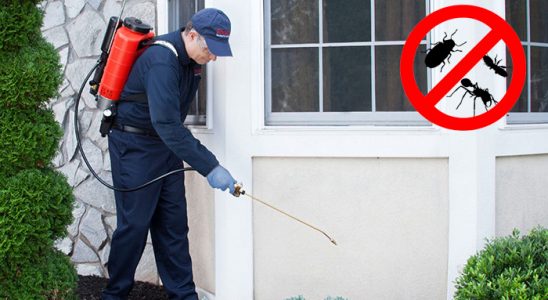 Koyundere Karınca İlaçlama böcek ilaçlama ve haşere kontrolü — ilaclama-tr.com
